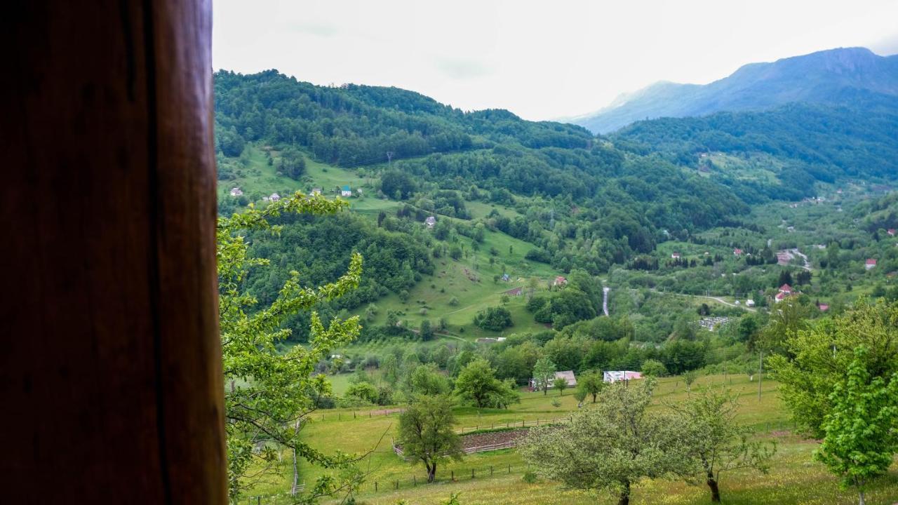 Fern Farm Eco Resort Mojkovac Exterior foto