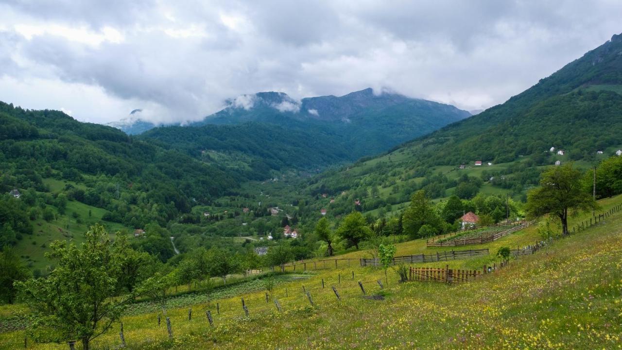 Fern Farm Eco Resort Mojkovac Exterior foto