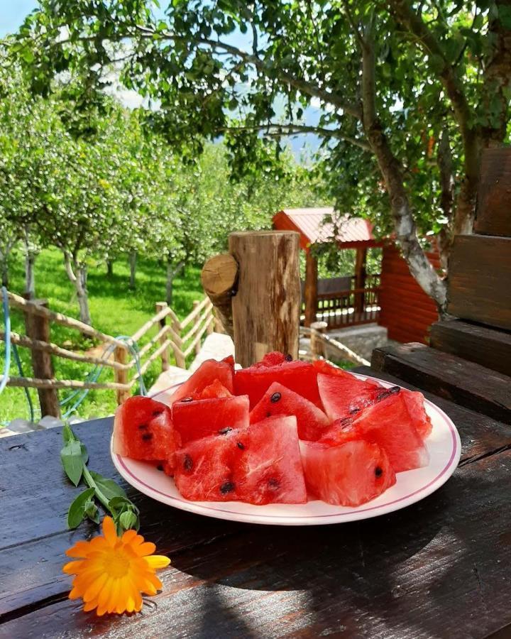 Fern Farm Eco Resort Mojkovac Exterior foto