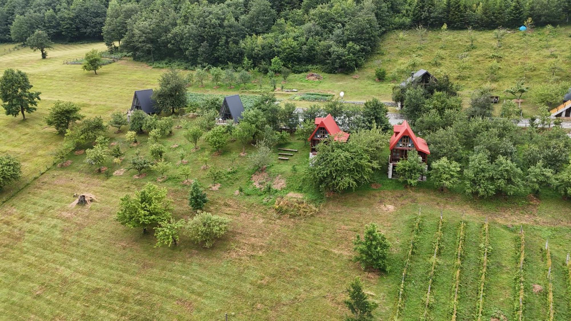 Fern Farm Eco Resort Mojkovac Exterior foto