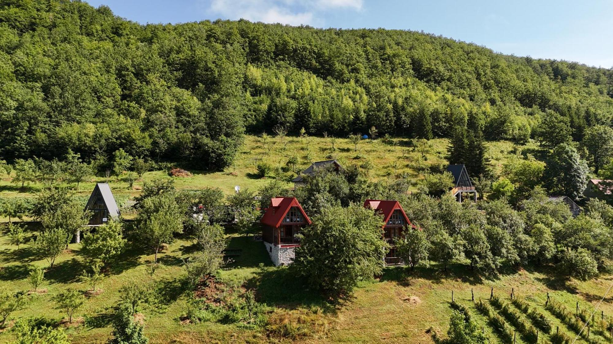 Fern Farm Eco Resort Mojkovac Exterior foto